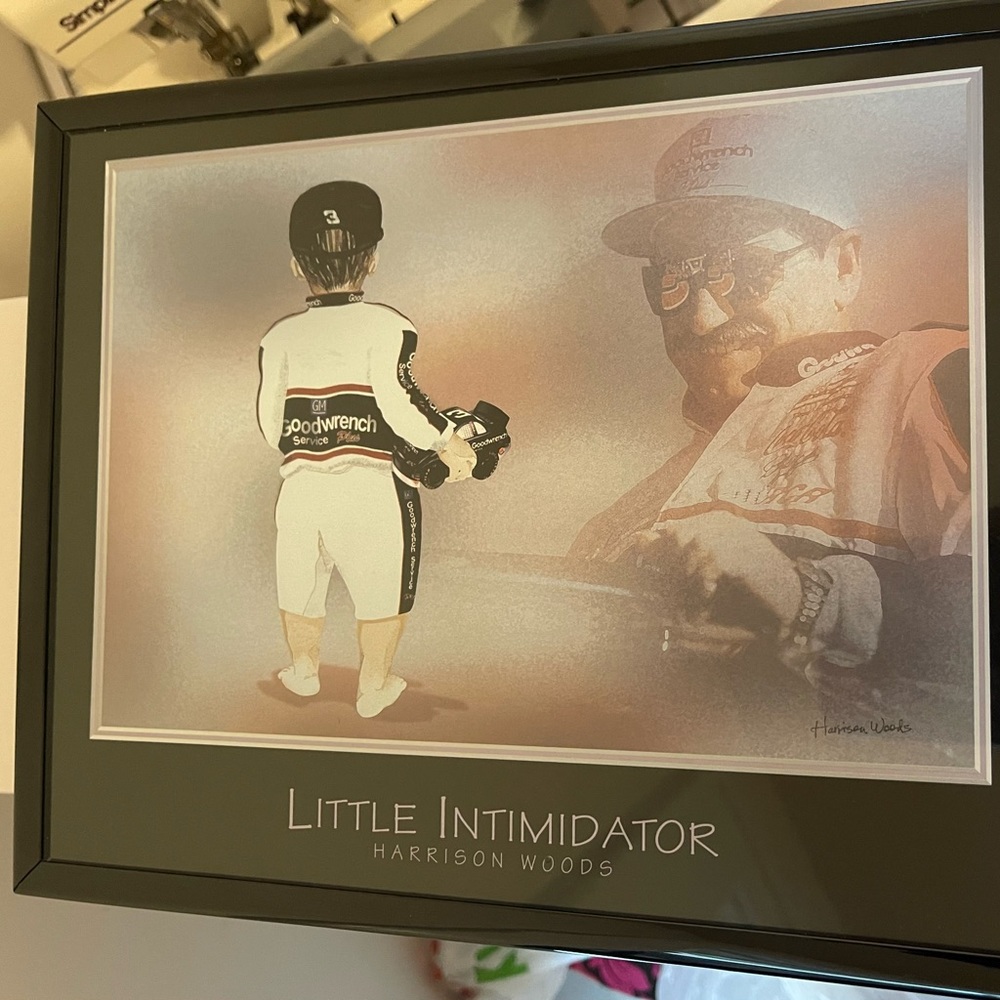 Harrison Woods "Little Intimidator" 8x10 Framed Print Dale Earnhardt #8